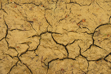 Cracked dirt background