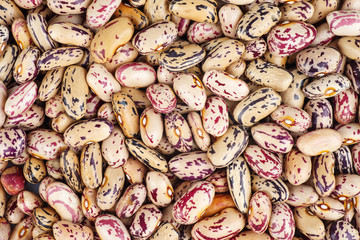 Spotty legume beans