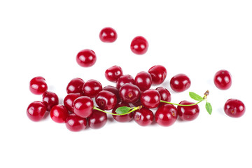 Wild cherries isolated on white background