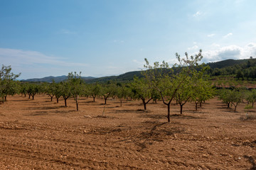 The road of the via augusta under the blue sky, castellon