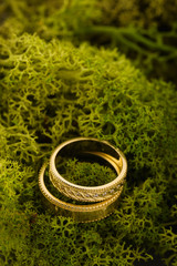 Obraz na płótnie Canvas Two gold wedding rings with diamond on green moss