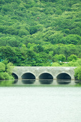 Fototapeta na wymiar Landscape with a bridge
