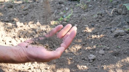 Gardener hands preparing soil for seedling in ground. Agriculture, gardening or ecology concept