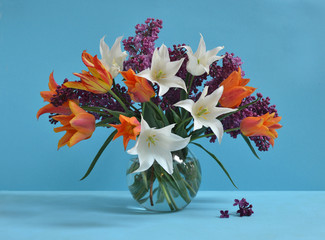 Bouquet of white and orange tulips and lilac in glass vase on blue background
