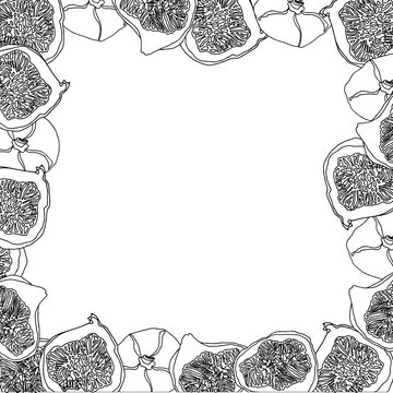 fig fruit cartoon vector sketch for banner or postcard