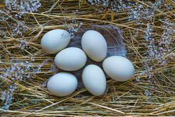 Fresh, natural rustic white chicken eggs on a litter of hay.