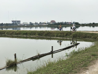 Cycling in The Laem Phak Bia Royal Project which is located in Petchaburi province of Thailand.