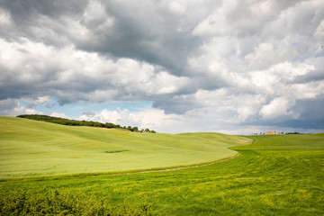 Obraz premium Tuscany hills