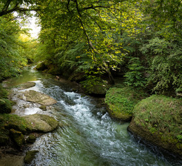 Obraz premium Naturerlebnis Erlaufschlucht