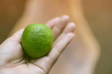 Asian woman hand holding  green lemon , healthy fruit product