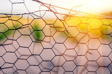 Fototapeta premium Old protective wire fence - sunlight