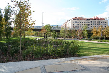 Naklejka premium Parque Madrid RIO
