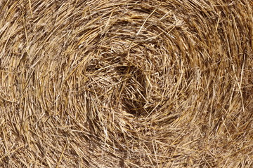 Close up of round bale of hale