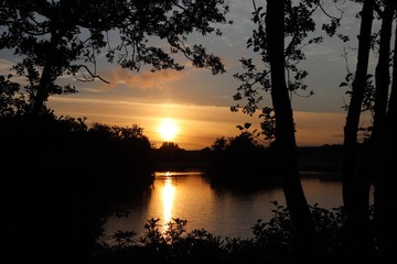 Fototapeta na wymiar Sunset over lake, framed by trees