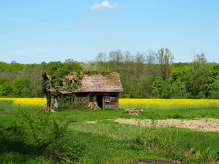 Altes Haus