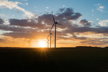Obraz premium Wind turbine in the field at sunset