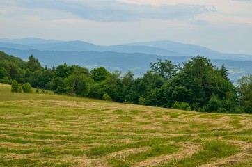 Beautiful mountain landscape. Spring colors in the hills.