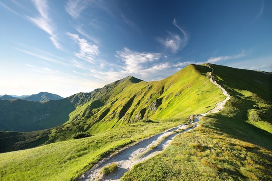 Fototapeta Trial to the peak in Carpathian Mountains in the morning