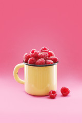 Ripe berries of sweet raspberry in the spring