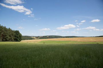 Fototapeta na wymiar Feld in Thüringen