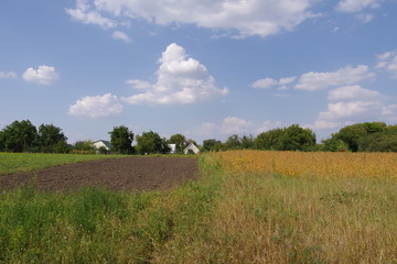 blue cloudy sky and green field