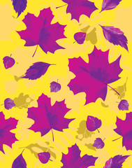  Seamless pattern, violet silhouettes of maple leaves on a yellow background.