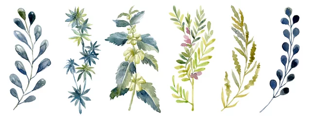 Aquarellset mit Waldblatt. Zeichnungsillustration waschen. © vectorgirl