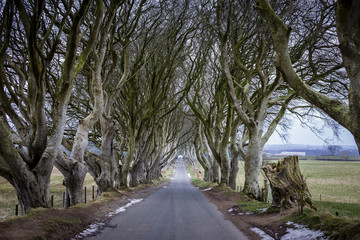 Northern Ireland Landscapes