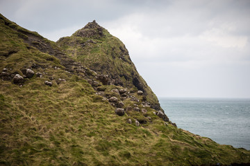 Northern Ireland Landscapes