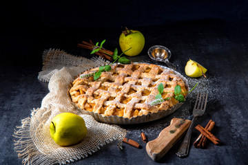 Tasty Apple pie with lattice upper crust