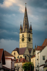 Fototapeta premium Fe