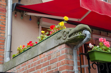 A stone dragon with flowers on railing of the stairs in Old Town Gdansk (Danzig) Poland. Decorative gutters with flowers in the historic part of Gdansk, Poland