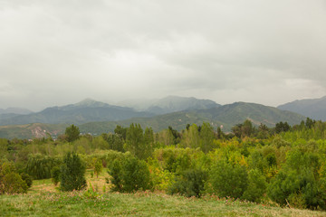 mountains shrouded in clouds