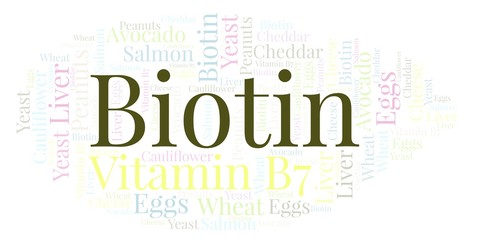 Fototapeta premium Biotin word cloud.