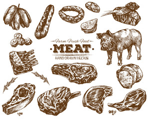 Hand drawn fresh farm meat bbq sketch
