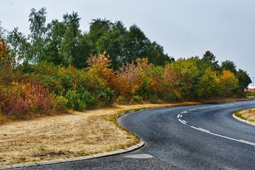 Fototapeta premium Dry summer