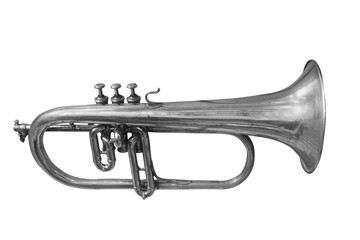 Fototapeta na wymiar trumpet