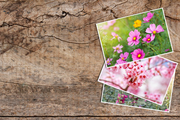 Beautiful flowers photos on old wooden table