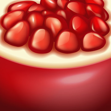 pomegranate seed fruit texture vector illustration
