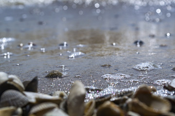 The small pebble macro shot. Small stones background.