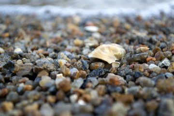 The small pebble macro shot. Small stones background.