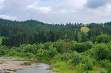 Fototapeta na wymiar river, in the background of the mountains. Carpathians Ukraine