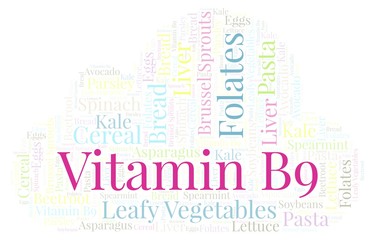 Fototapeta premium Vitamin B9 word cloud.