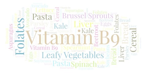 Fototapeta premium Vitamin B9 word cloud.