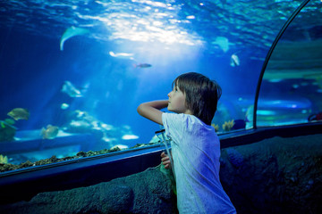 Little boy, kid watching the shoal of fish swimming in oceanarium, children enjoying underwater life