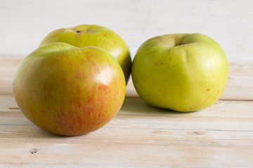 Bramley cooking apples or Malus domestica 'Bramley's Seedling' a popular British variety for making pies and desserts