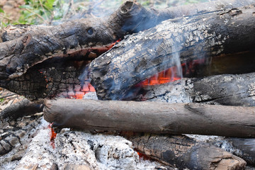 Blaze of bonfire, wood fire flame heat spires burning in fireplace with smoke close up