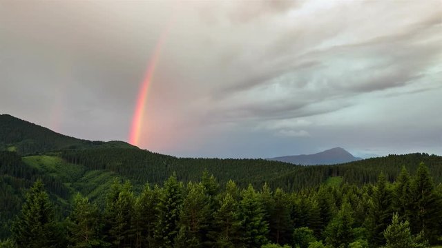 Colorful rainbow over green forest Time lapse