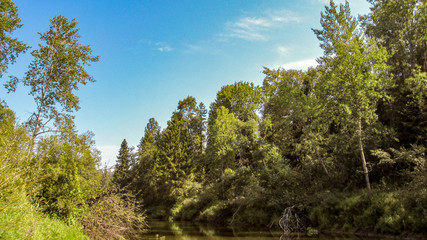Summer landscape with river