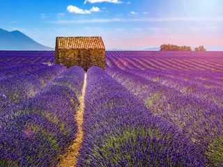 Fototapeta na wymiar Landscape in Provence